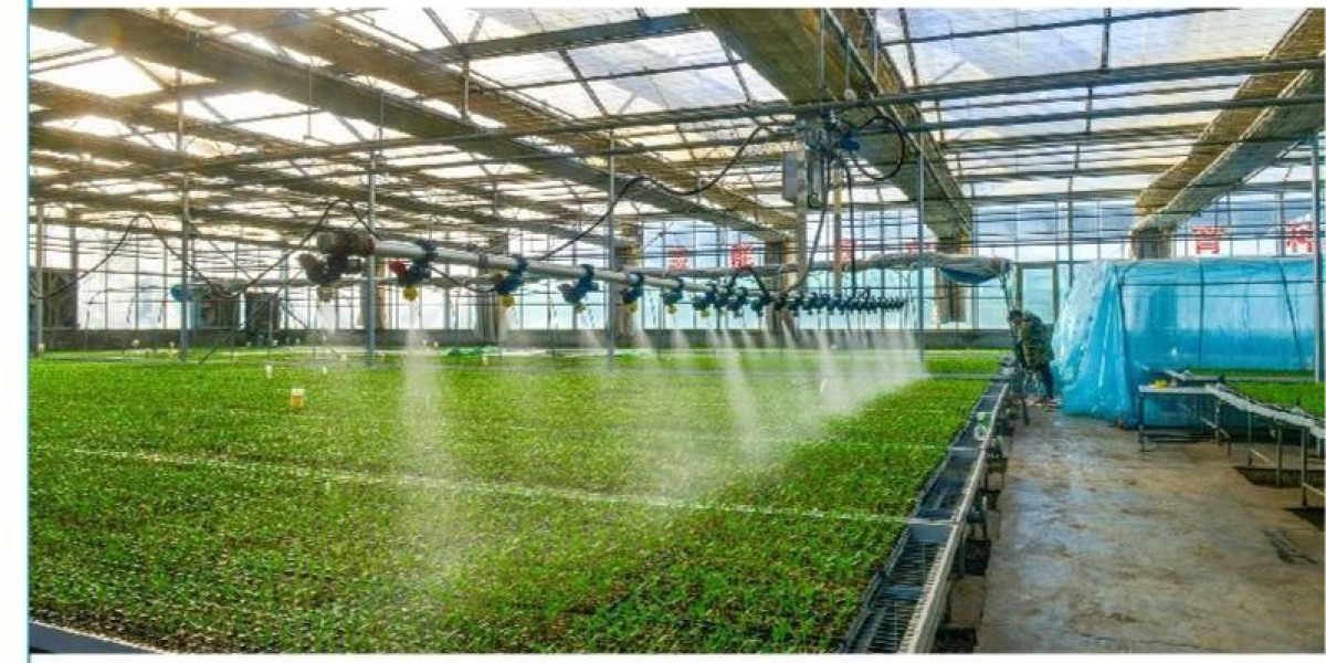 给种子一个“无菌的家”