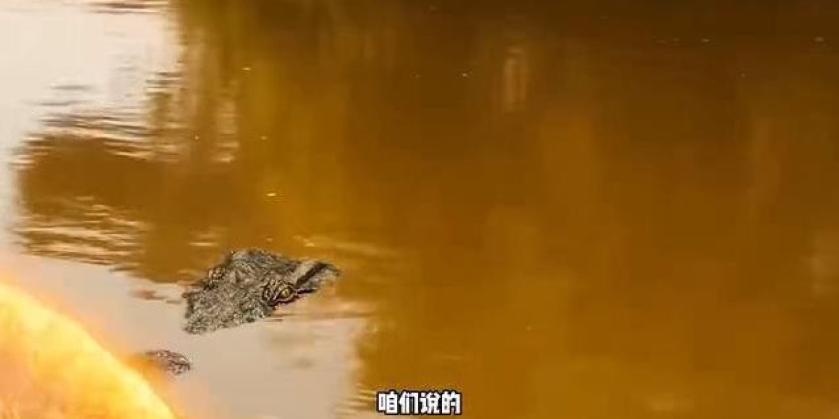凯门鳄为何不吃水豚? 原来它也怕崩掉牙，背后真相让人没想到