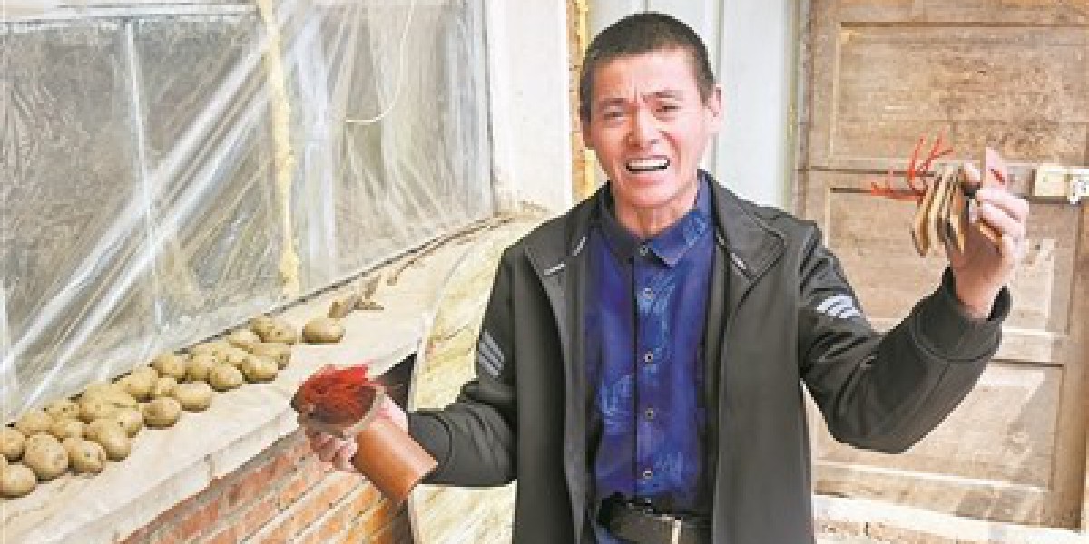 田野里飞出欢乐的歌