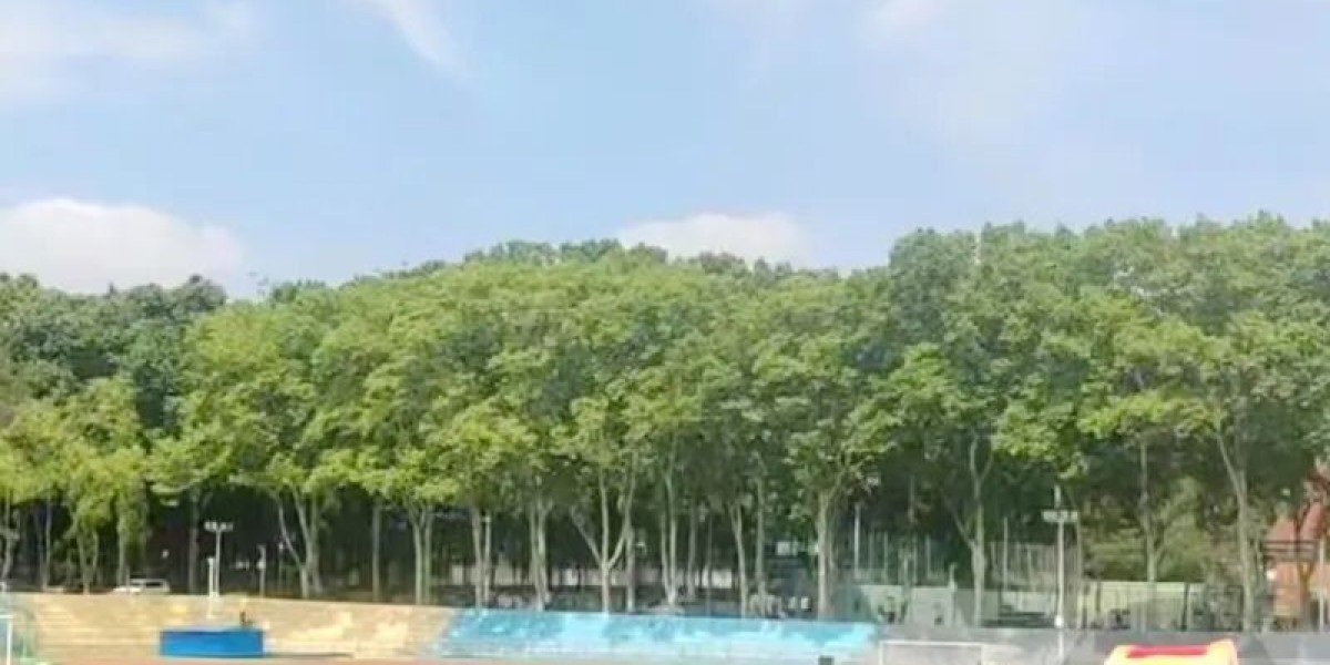 武大取消预约入校后食堂爆满，有游客爬树拍照，博主直播学生上体育课?校方回应