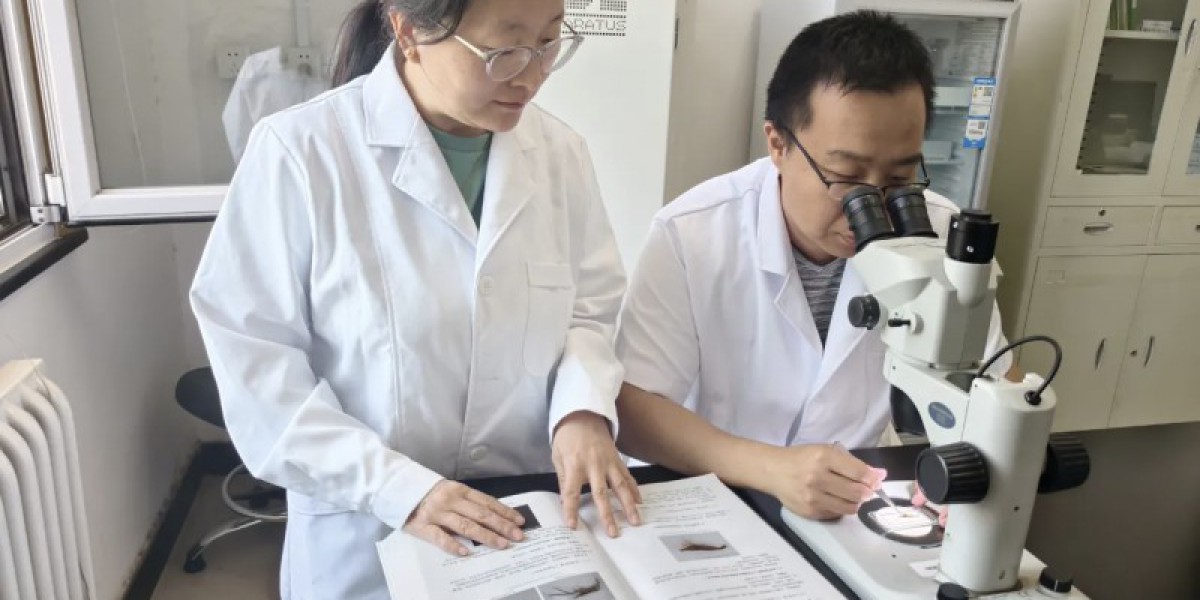 城区四条河流均有发现! 北京虾类专项监测结果公布