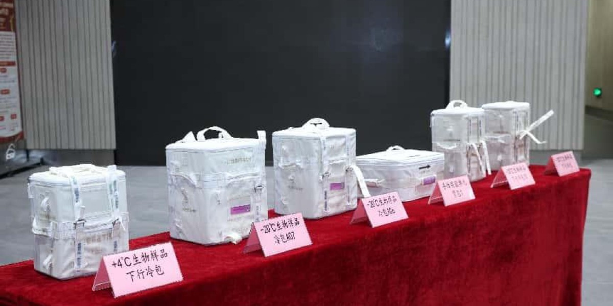 人工胚胎等空间站第十批科学实验样品顺利返回并交付科学家