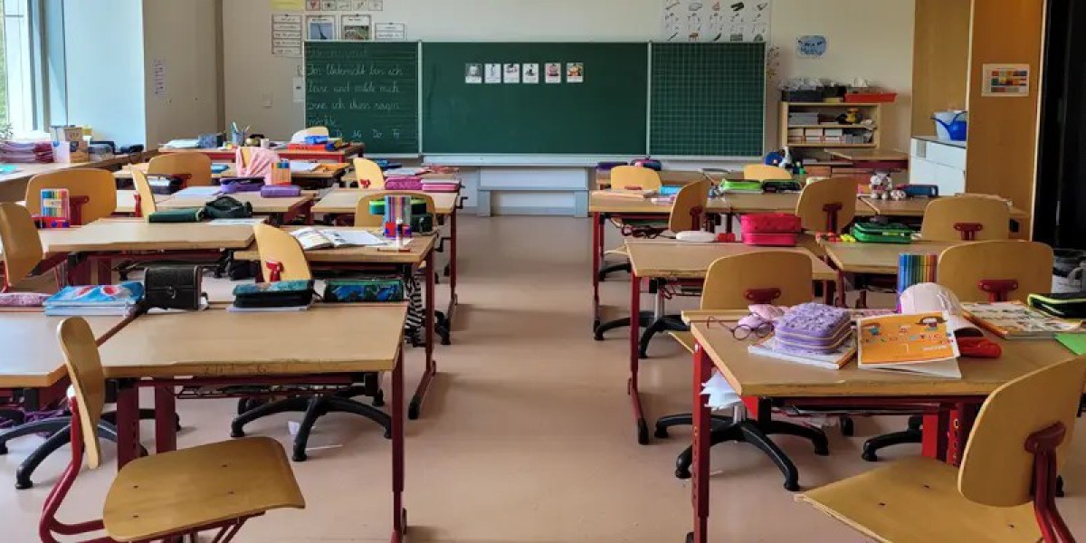 全国小学课堂，正在变成AI宠物园区