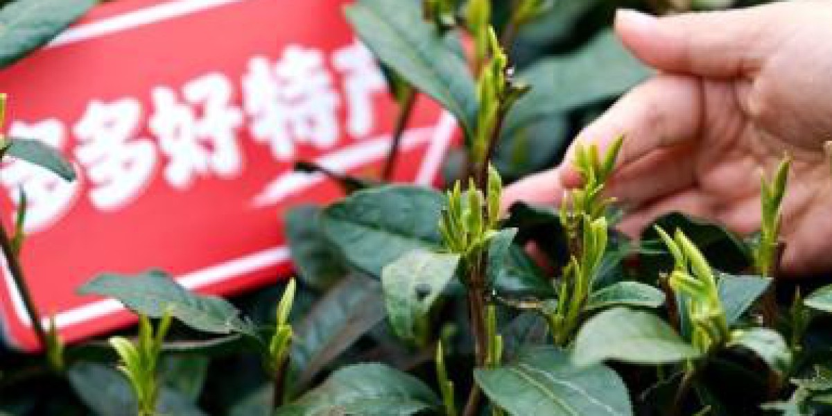 增收不增利，拼多多把钱花哪儿了?