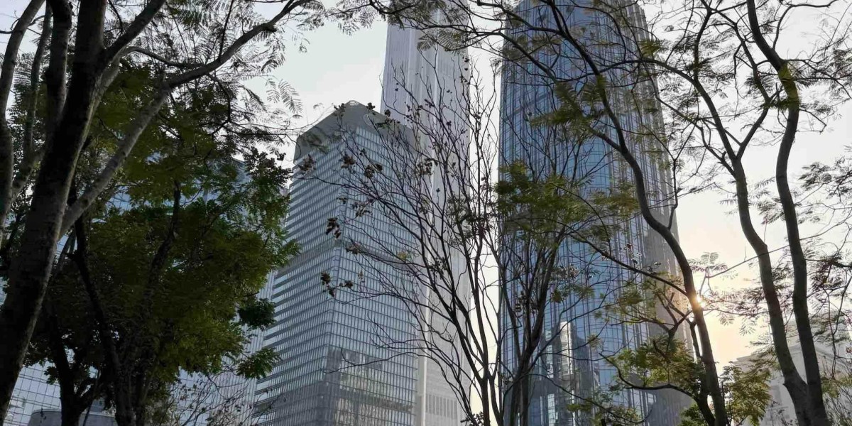 观察｜40万青年奔赴深圳：一场人才迁徙背后，一座城市的长期主义与雄心