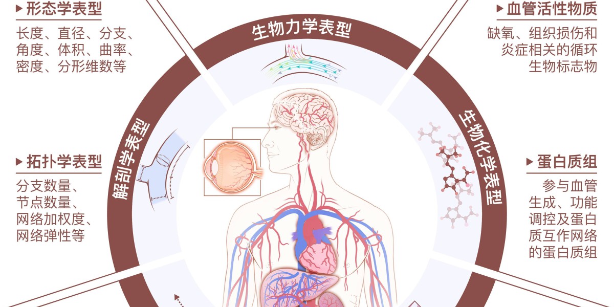 东南大学团队领衔发布“血管组学”! 面向“人工智能+医疗健康”的全新“组学”概念诞生