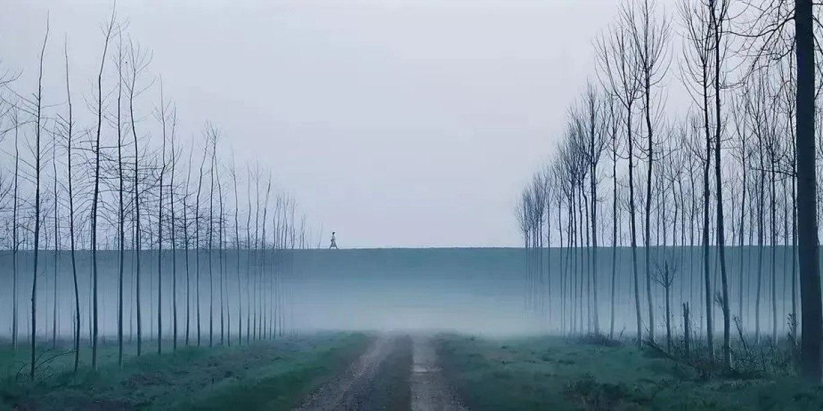 这可能是索伦蒂诺最平庸的电影