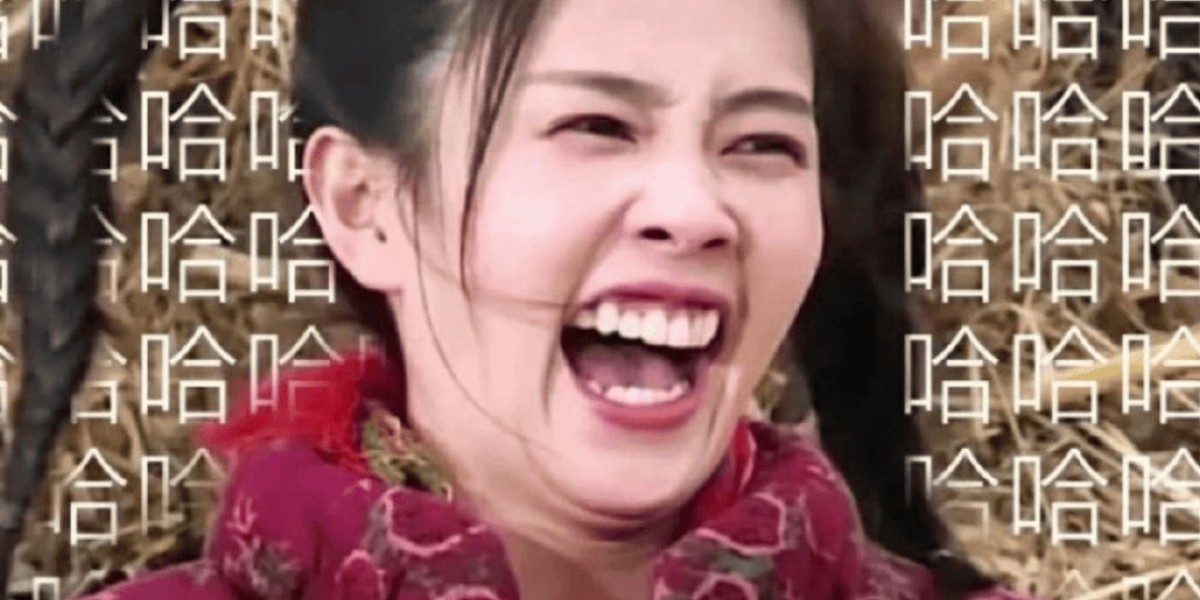 白鹿跑男争议 内娱综艺审美巨变