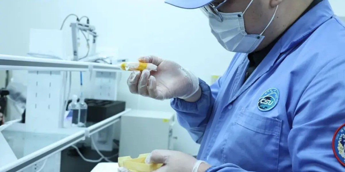 中国空间站第十批空间科学实验样品随神舟二十二号飞船顺利返回，部分样品运抵北京，并交付科学家开展后续研究