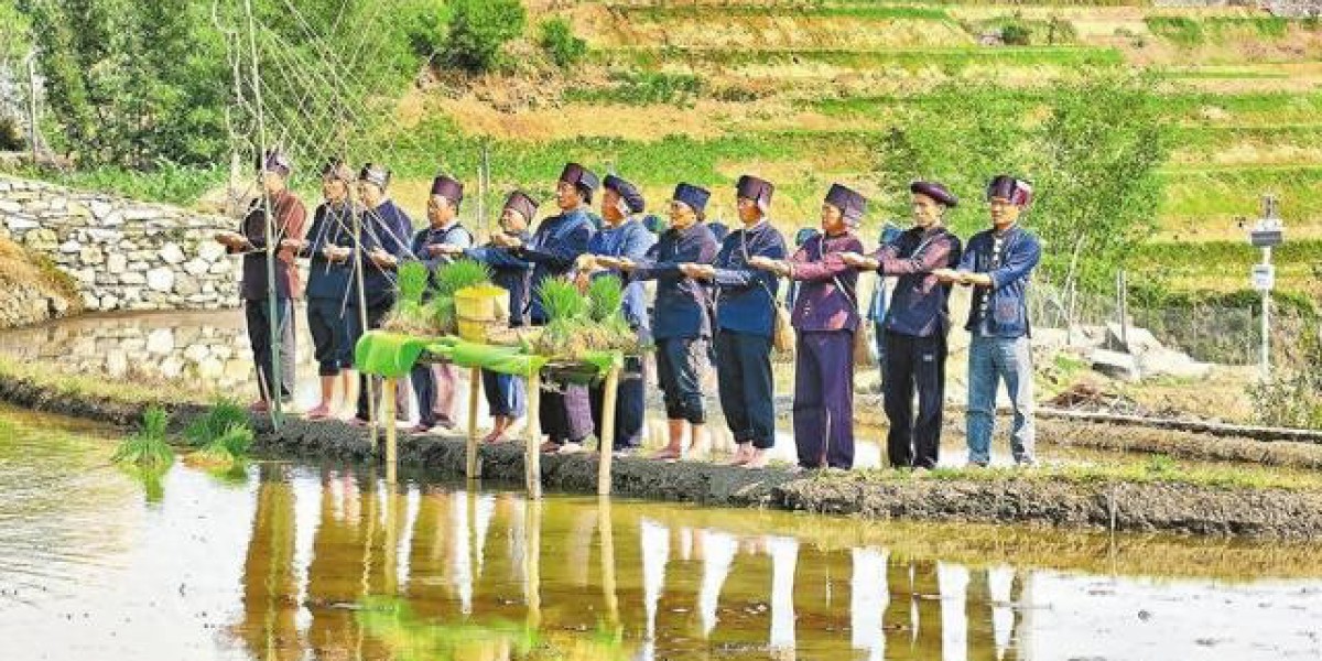 元阳：放歌梯田勤耕沃野5月15日