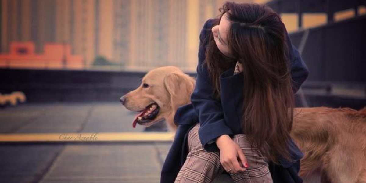 你知道金毛犬的“饮食黑名单”有哪些? 过来人：巧克力