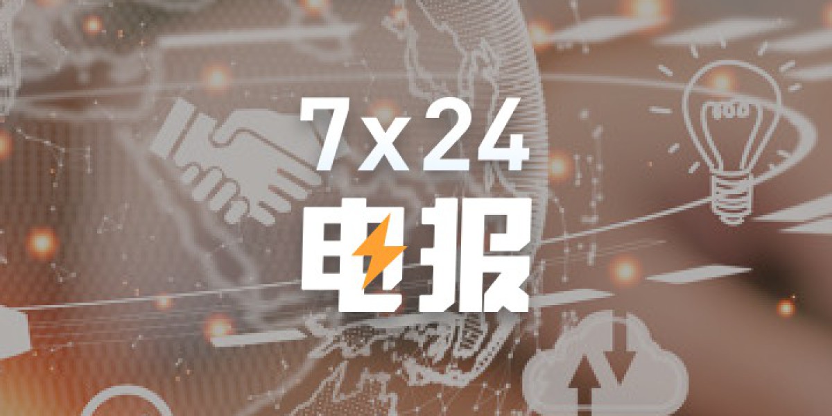 丹麦养老基金称SpaceX被“严重高估”