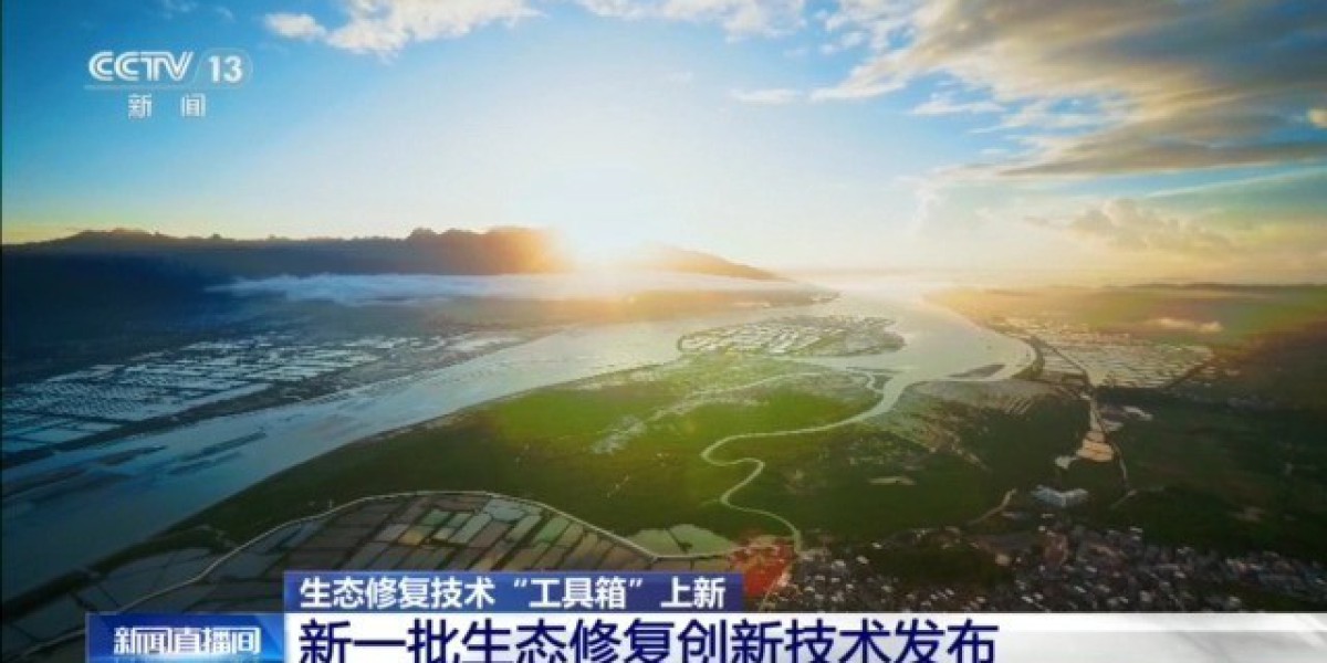 树苗会“找水” AI听“鸟鸣” 生态修复技术“工具箱”上新