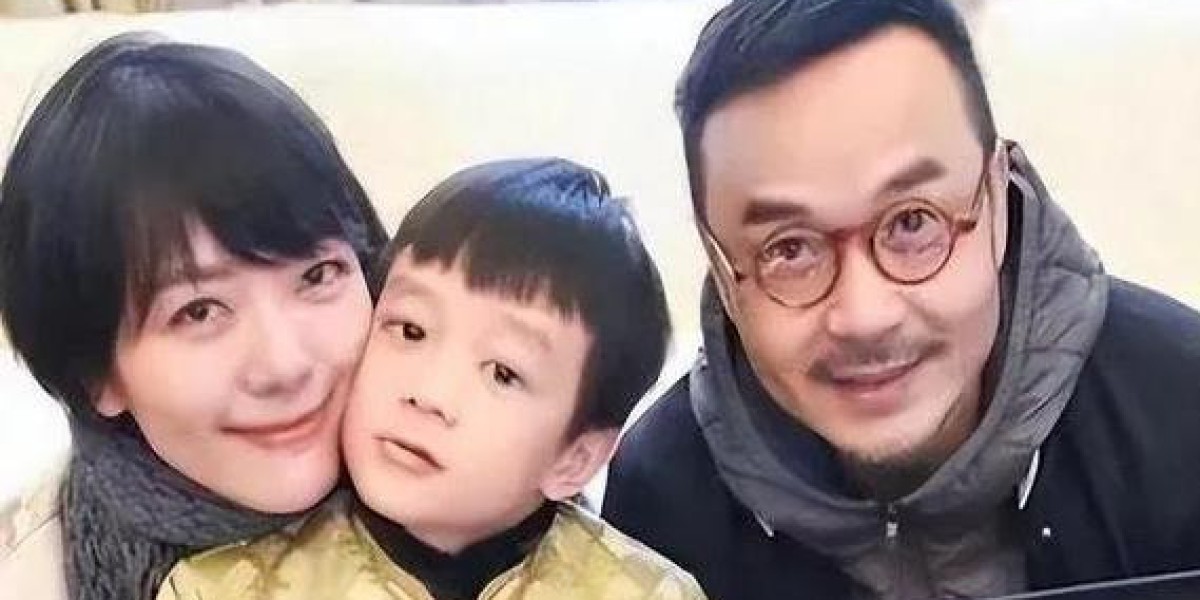 杨乐乐投资被骗七百万且带娃太拼，汪涵的沉默到底藏着多少辛酸