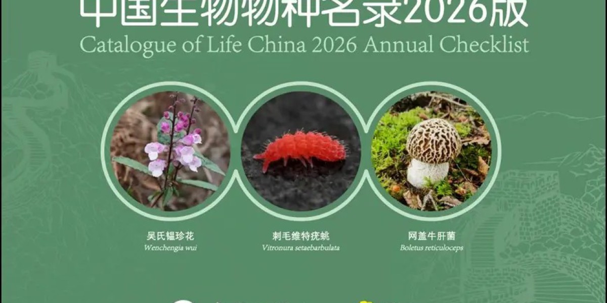 中国生物多样性“家底”更新 新增6154个物种及种下单元