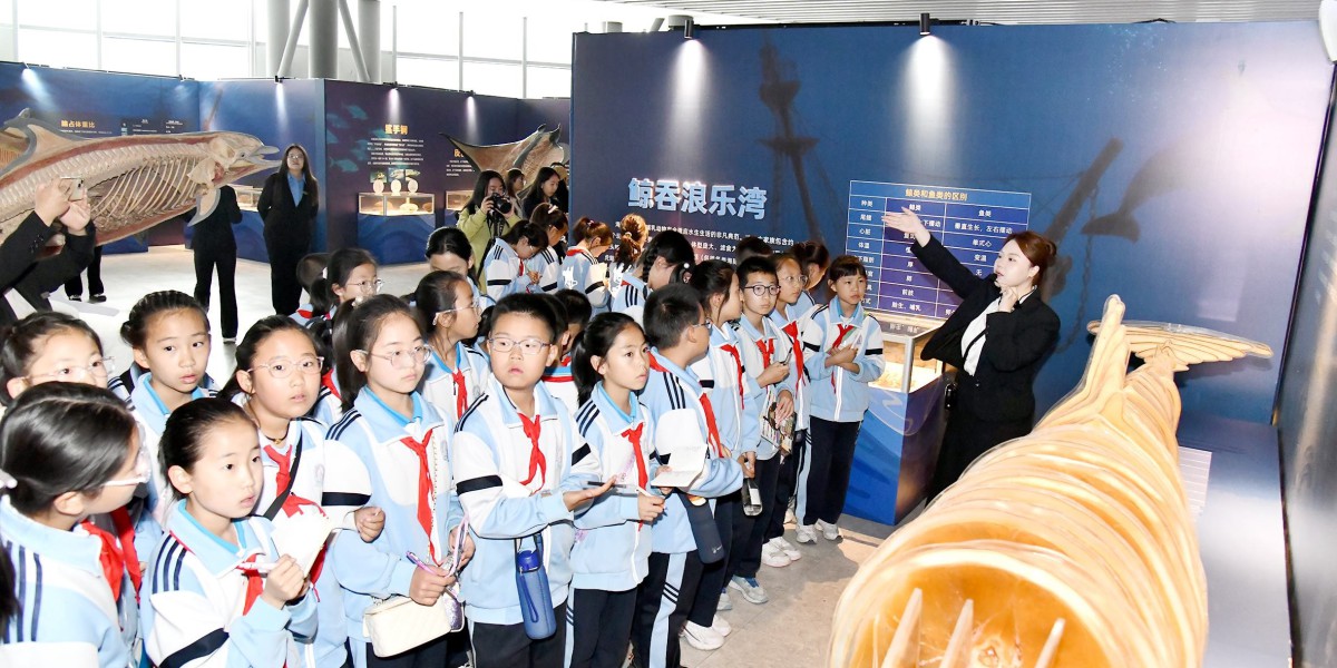 海洋生物专题展在乌兰察布科技馆开展