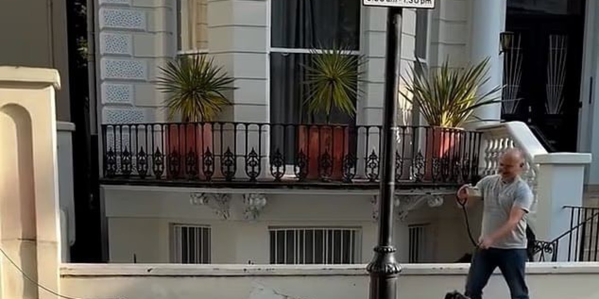 伦敦街头真实狗狗偶遇AI机器狗：一脸懵圈又警惕，全程太真实
